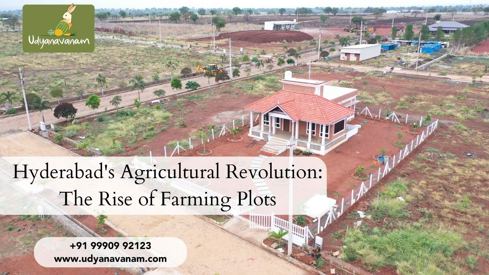 Farming Plots