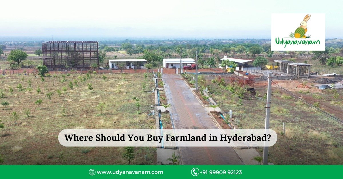 Farmland in Hyderabad.